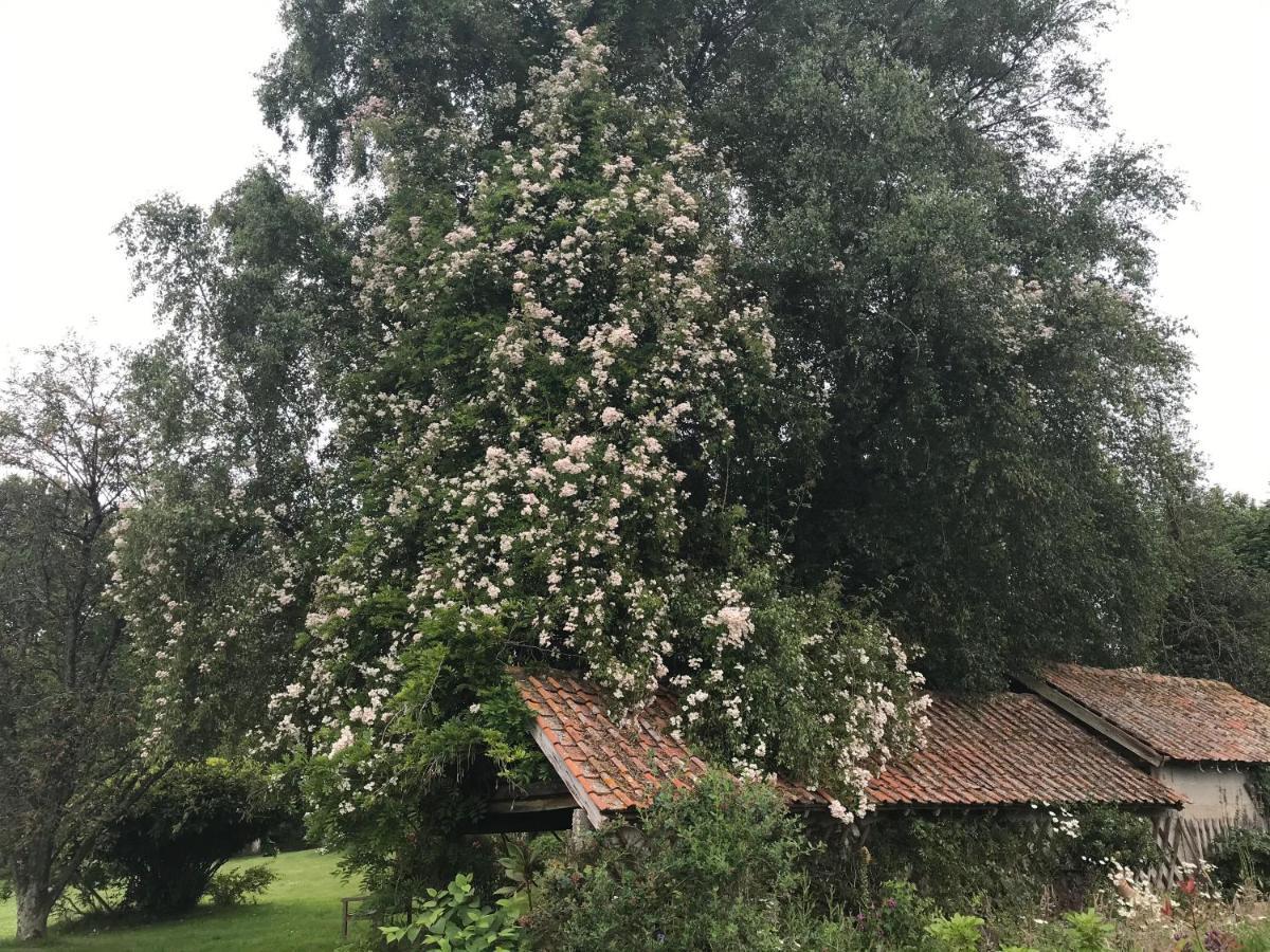 Bed and Breakfast Le Jardin Sauvage Maintenay Екстер'єр фото