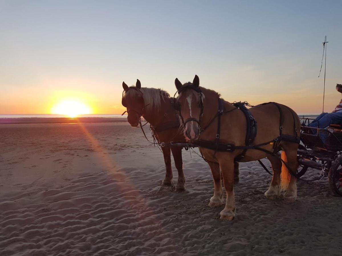 Bed and Breakfast Le Jardin Sauvage Maintenay Екстер'єр фото