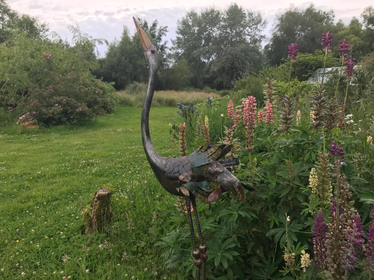 Bed and Breakfast Le Jardin Sauvage Maintenay Екстер'єр фото