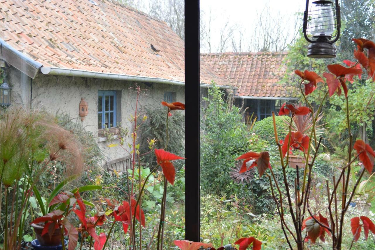 Bed and Breakfast Le Jardin Sauvage Maintenay Екстер'єр фото