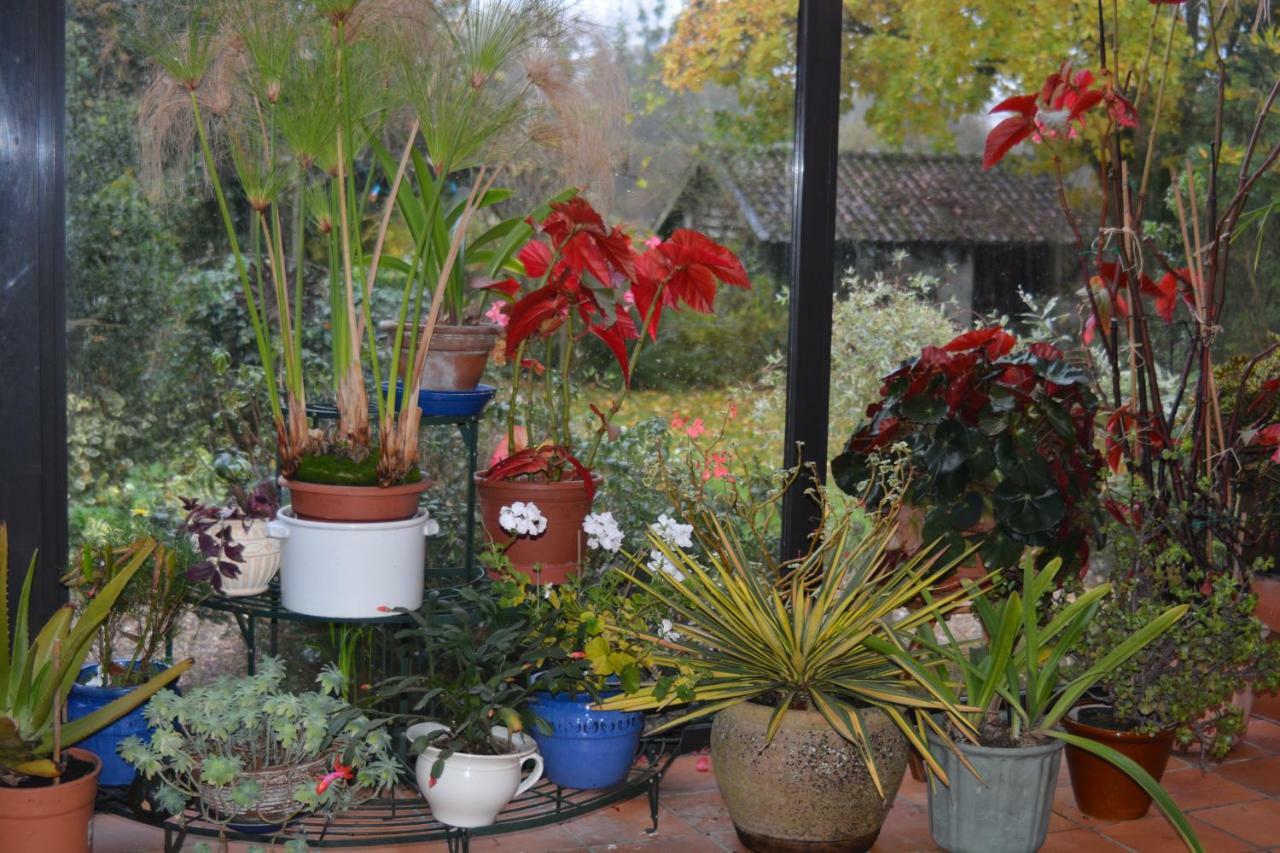 Bed and Breakfast Le Jardin Sauvage Maintenay Екстер'єр фото