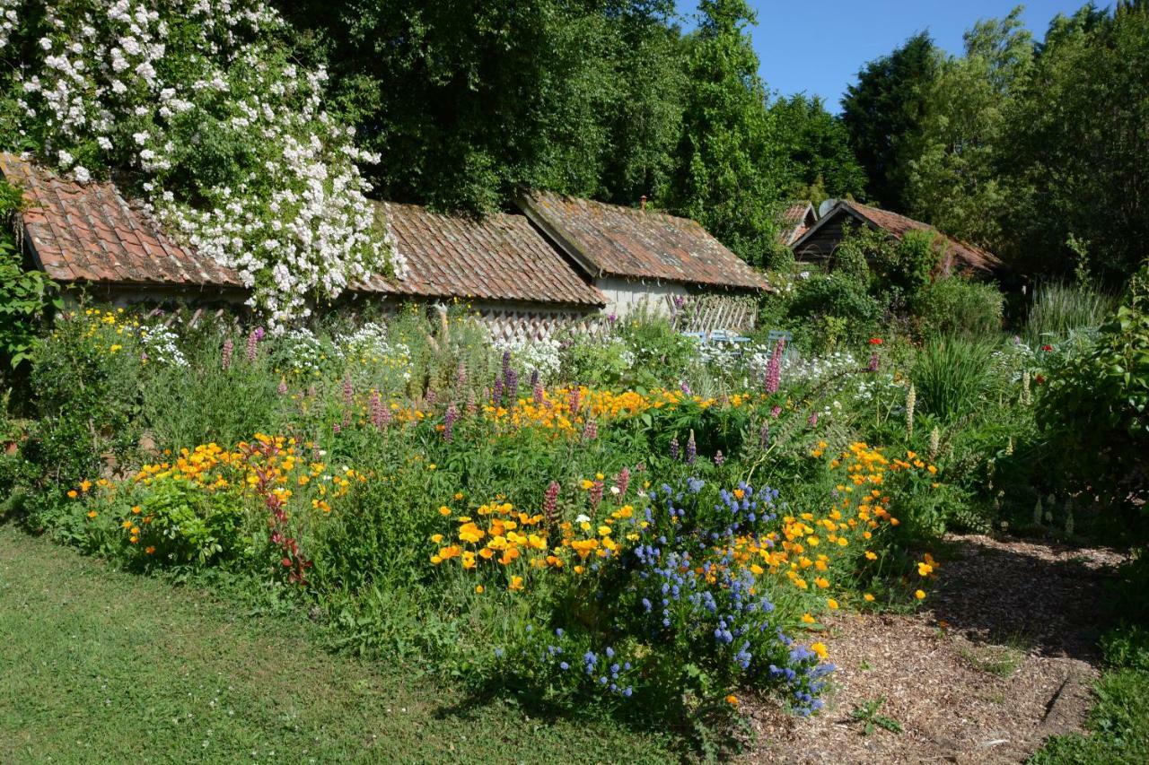 Bed and Breakfast Le Jardin Sauvage Maintenay Екстер'єр фото