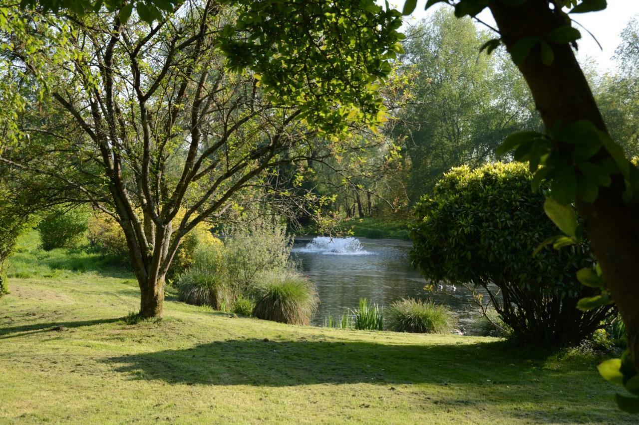 Bed and Breakfast Le Jardin Sauvage Maintenay Екстер'єр фото